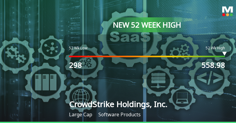 CrowdStrike Holdings Hits New 52-Week High of $558.98
