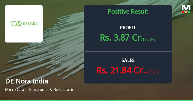 DE Nora India Q2 FY26: Profit Surge Masks Deeper Revenue Concerns