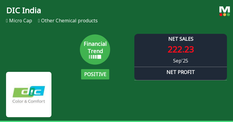 DIC India Reports Strong Financial Metrics Amid Stock Volatility Challenges