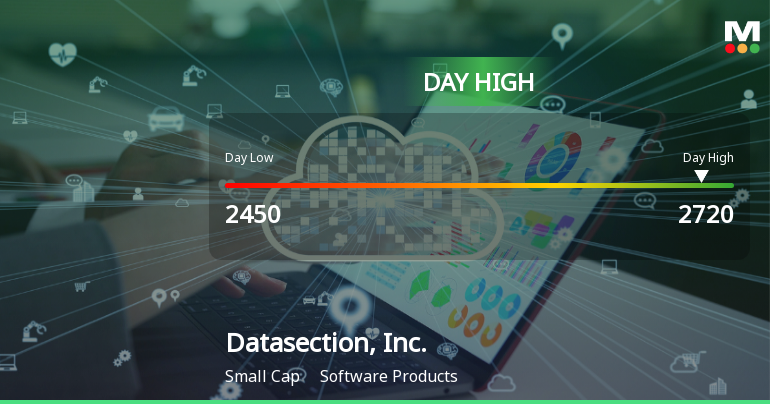 Datasection, Inc. Hits Day High with 17.84% Surge in Stock Price