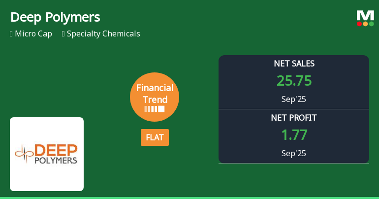 Deep Polymers Quarterly Financial Trend Shifts Amid Market Challenges