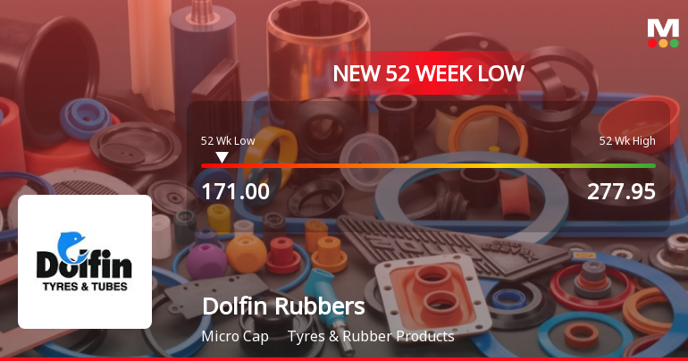 Dolfin Rubbers Hits New 52-Week Low at Rs.171 Amid Ongoing Decline