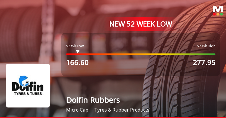 Dolfin Rubbers Hits New 52-Week Low at Rs. 166.6 Amid Market Struggles