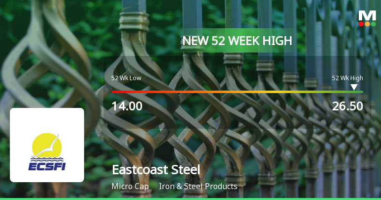 Eastcoast Steel Hits New 52-Week High at Rs. 26.5