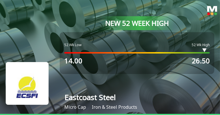 Eastcoast Steel Hits New 52-Week High at Rs.26.5 Mark