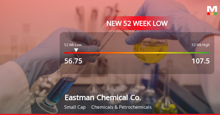 Eastman Chemical Co. Stock Plummets to New 52-Week Low at $56.75
