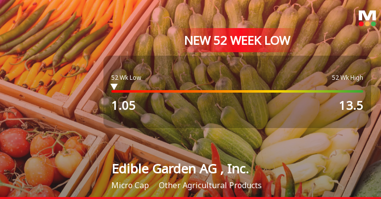 Edible Garden AG, Inc. Hits New 52-Week Low at $1.04