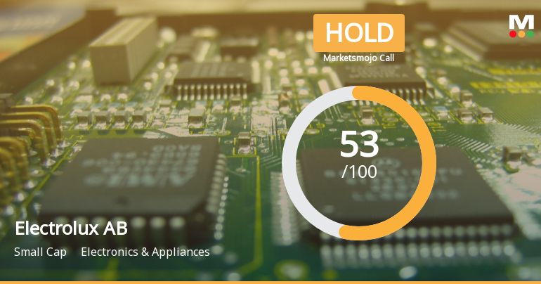 Electrolux AB Faces Financial Reevaluation Amidst Mixed Performance Metrics and Challenges