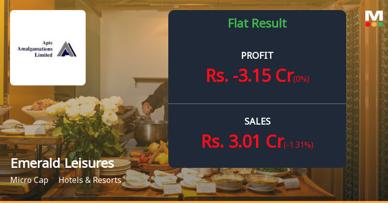 Emerald Leisures Q2 FY26: Deepening Losses Signal Structural Distress in Hospitality Venture