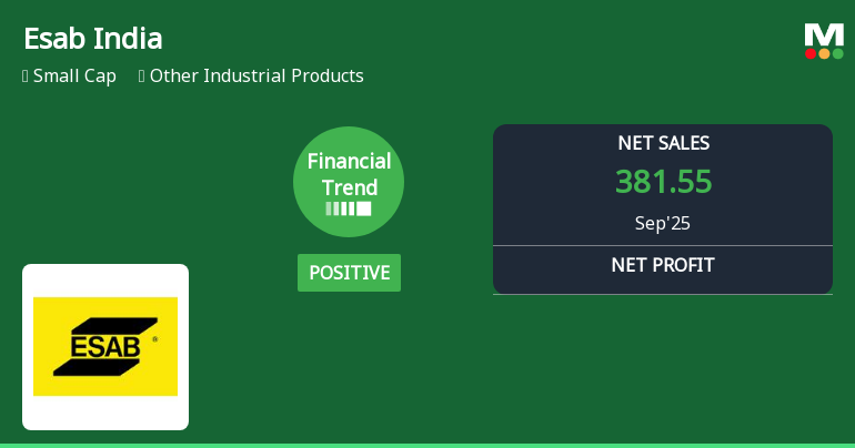 Esab India's Financial Performance Highlights Strong Operational Efficiency Amid Market Challenges