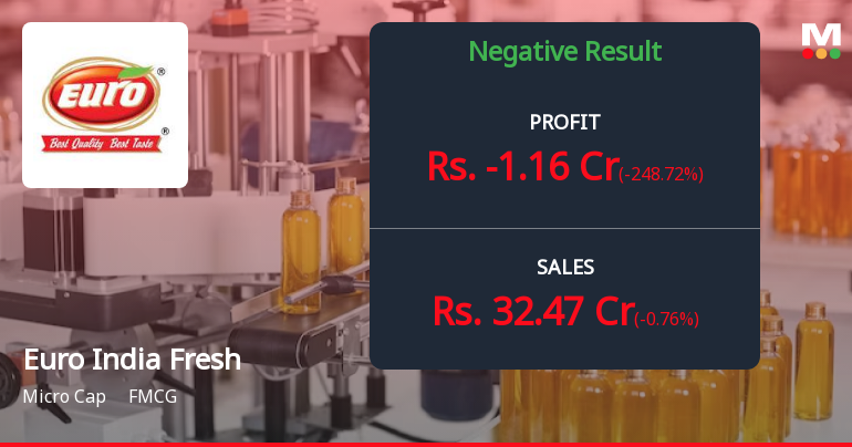 Euro India Fresh Foods Q2 FY26: Margin Erosion Triggers Loss as Operational Efficiency Crumbles
