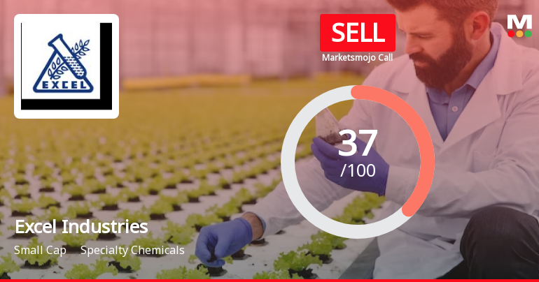 Excel Industries Sees Revision in Market Evaluation Amid Challenging Financial Trends