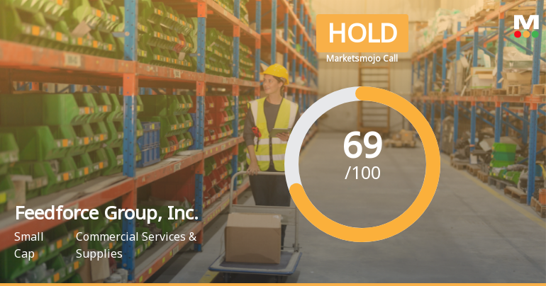 Feedforce Group's Valuation Upgrade Reflects Strong Financial Performance and Growth Potential