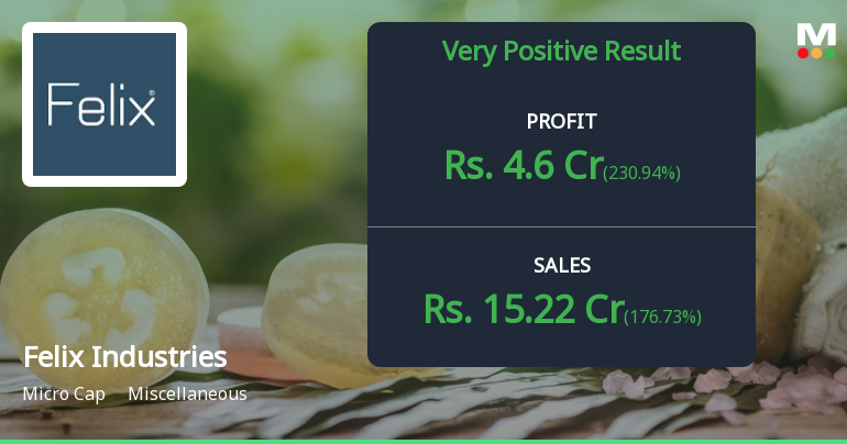 Felix Industries Q2 FY26: Strong Revenue Growth Masks Margin Volatility Concerns