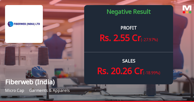 Fiberweb (India) Q2 FY26: Steep Revenue Decline Signals Growing Operational Stress