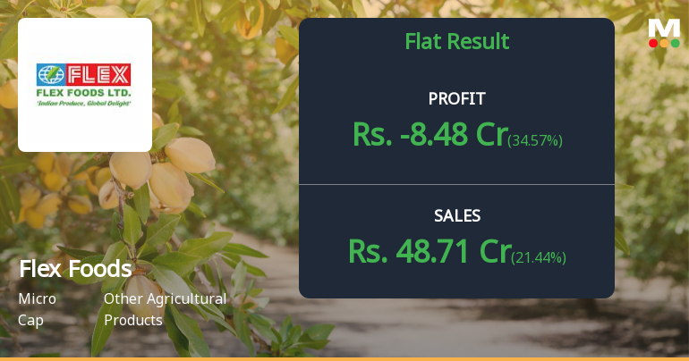 Flex Foods Q2 FY26: Losses Deepen as Operational Challenges Persist Despite Revenue Growth