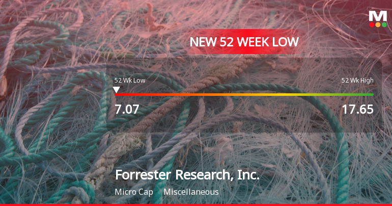 Forrester Research Hits New 52-Week Low at $7.07 Amidst Decline