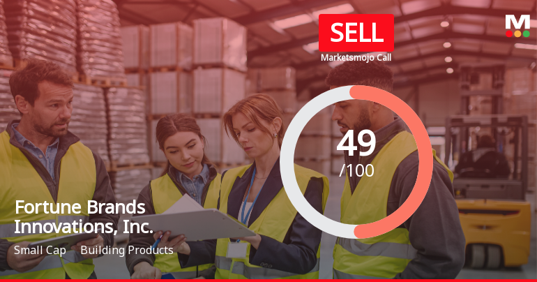 Fortune Brands Innovations Faces Valuation Shift Amid Declining Sales and Financial Challenges