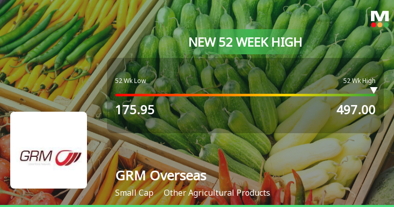 GRM Overseas Hits New 52-Week High at Rs.493.9 Marking Significant Milestone