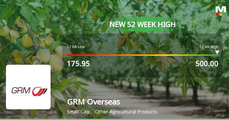GRM Overseas Hits New 52-Week High of Rs.499 Marking Strong Momentum
