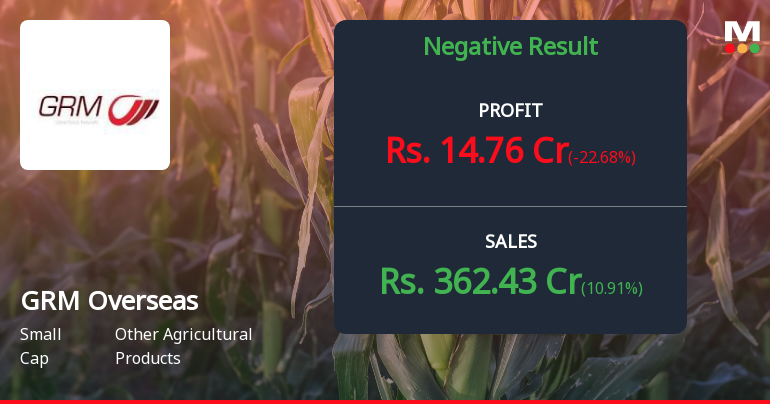 GRM Overseas Q2 FY26: Strong Profit Growth Masks Margin Concerns