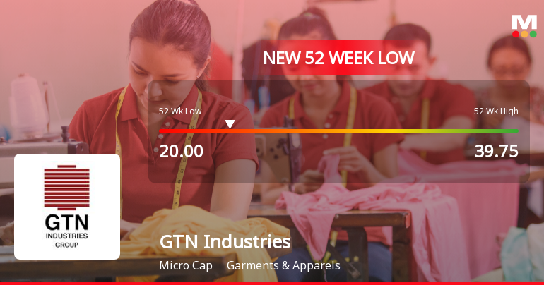 GTN Industries Falls to 52-Week Low of Rs.20 Amidst Continued Underperformance