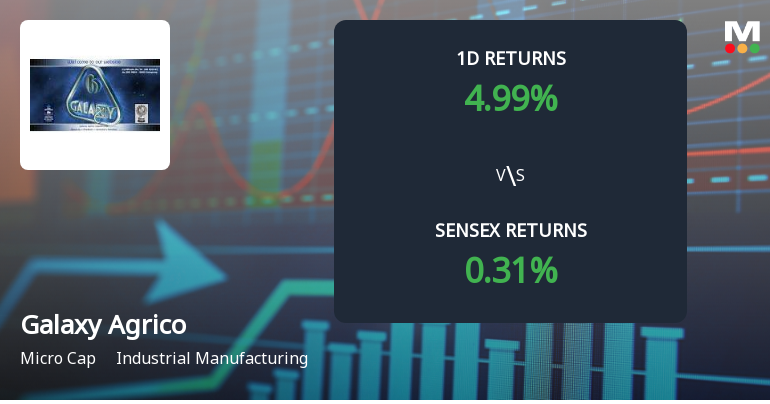 Galaxy Agrico Exports Faces Intense Selling Pressure Amid Lower Circuit Lock