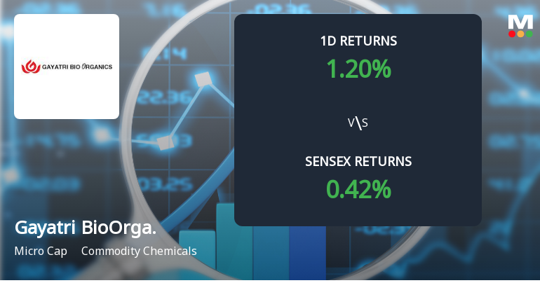 Gayatri BioOrganics Ltd Achieves 80.84% Yearly Gain, Outperforming Sensex Amid Positive Buying Trend