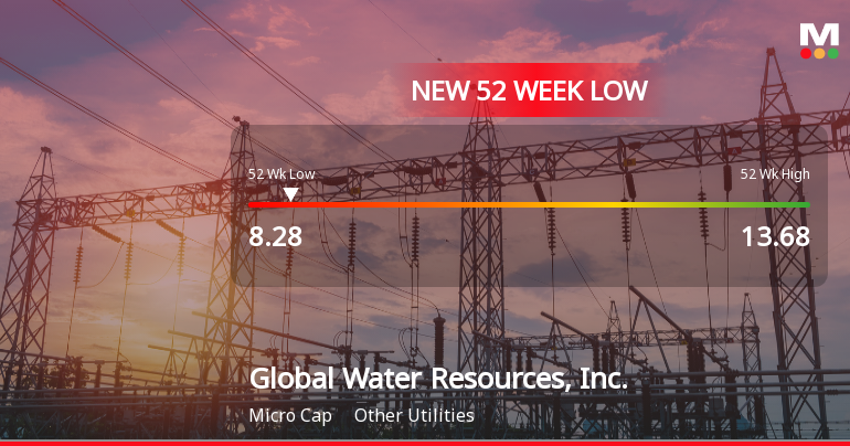 Global Water Resources Hits 52-Week Low at $8.28 Amid Financial Struggles