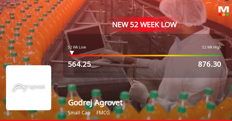 Godrej Agrovet Stock Plummets to New 52-Week Low at Rs. 573.8