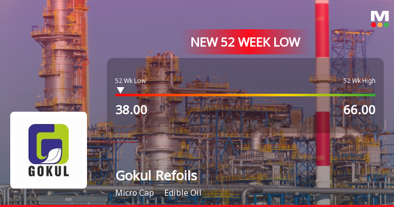Gokul Refoils and Solvent Falls to 52-Week Low of Rs.38 Amidst Continued Downtrend