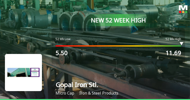 Gopal Iron & Steels Co.(Gujarat) Hits New 52-Week High at Rs.11.69