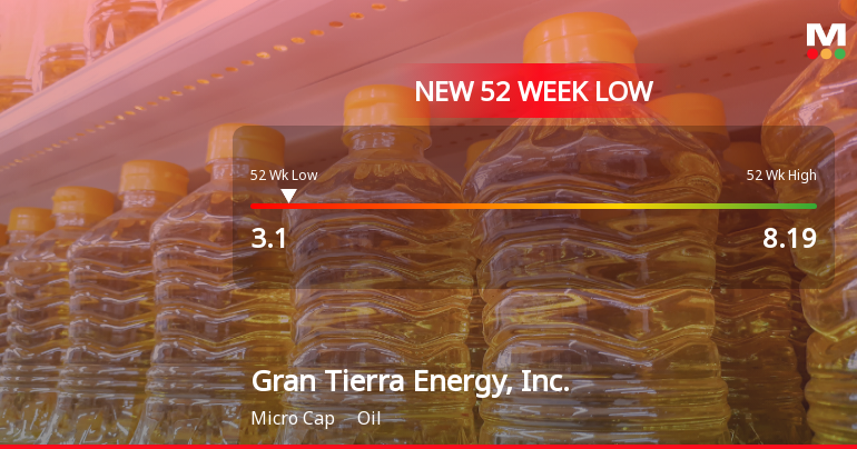 Gran Tierra Energy Hits New 52-Week Low at $3.10