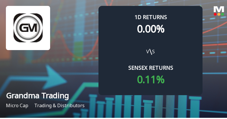 Grandma Trading & Agencies Faces Intense Selling Pressure Amid Prolonged Decline