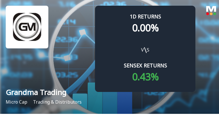 Grandma Trading & Agencies Faces Intense Selling Pressure Amid Prolonged Decline