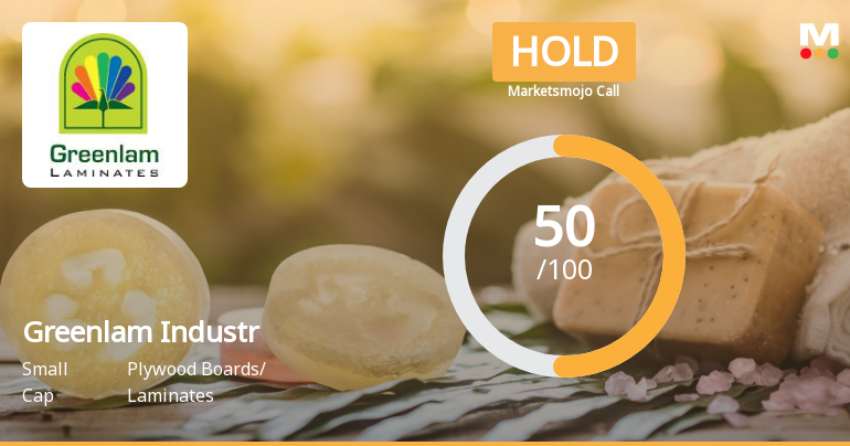 Greenlam Industr Sees Revision in Market Evaluation Amid Mixed Financial Signals