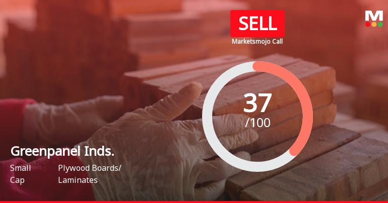 Greenpanel Inds. Sees Revision in Market Evaluation Amidst Challenging Financial Trends