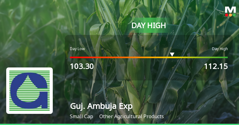 Gujarat Ambuja Exports Hits Day High with 7.5% Surge Amid Market Decline
