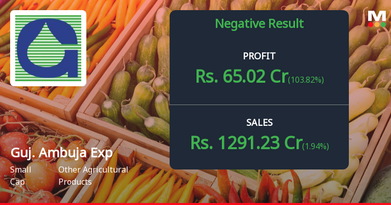 Gujarat Ambuja Exports Q2 FY26: Sharp Profit Rebound Masks Margin Erosion Concerns