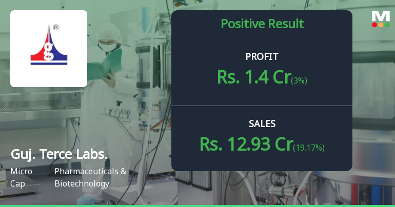Gujarat Terce Laboratories Q2 FY26: Profit Plunge Raises Serious Concerns