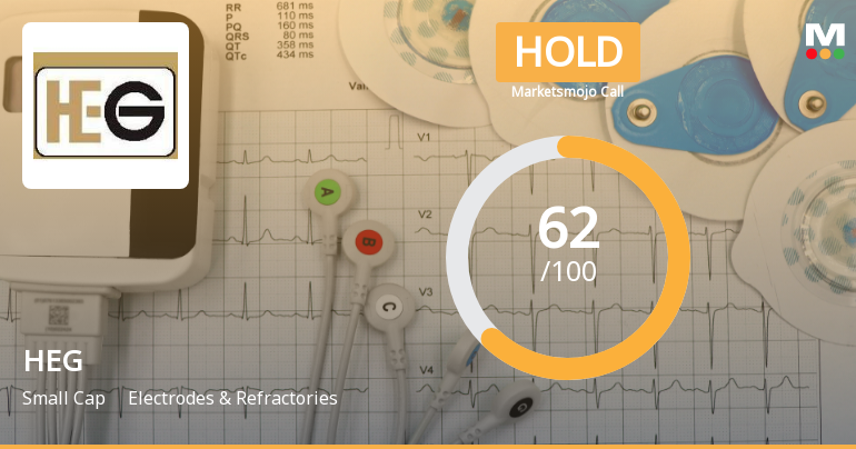 HEG Reports Strong Profit Growth Amid Shift in Market Evaluation Dynamics