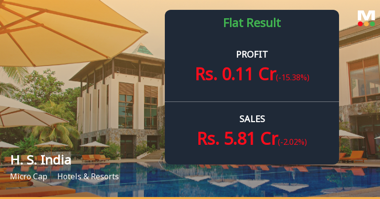 H. S. India Q2 FY26: Margin Compression Weighs on Profitability Despite Stable Revenue