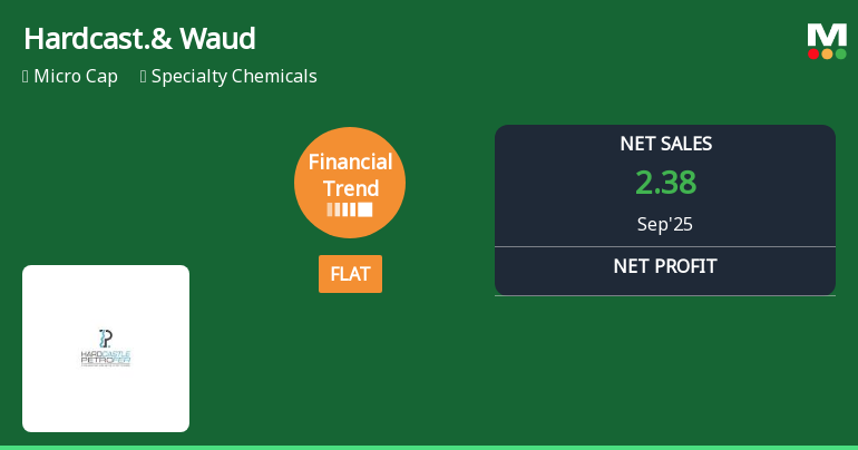 Hardcastle & Waud Mfg Co Shows Mixed Financial Performance Amid Cash Management Challenges