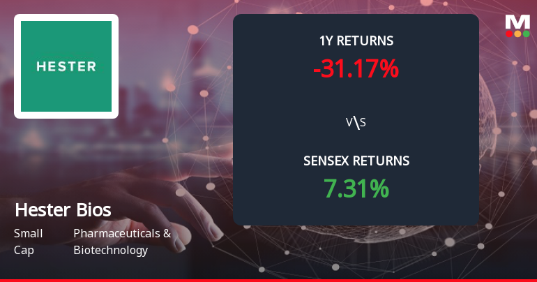Hester Biosciences Forms Death Cross Signalling Potential Bearish Trend