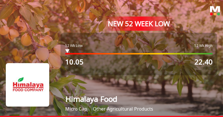 Himalaya Food International Stock Plummets to New 52-Week Low at Rs.10.05