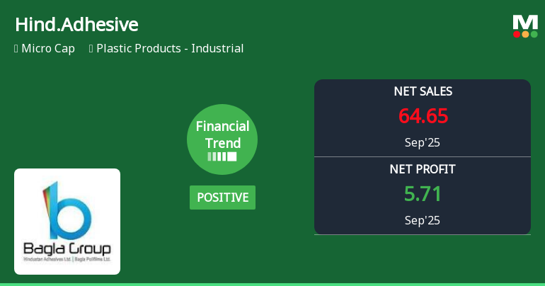 Hindustan Adhesives Shows Improved Financial Metrics Amidst Sales Decline and Rising Costs