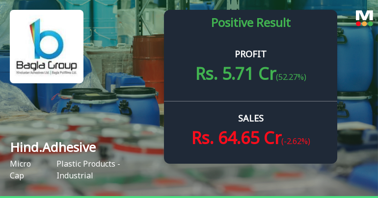 Hindustan Adhesives Q2 FY26: Profit Surge Masks Revenue Decline Concerns