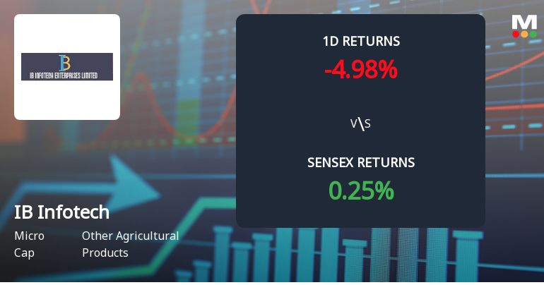 IB Infotech Enterprises Faces Intense Selling Pressure Amid Consecutive Losses