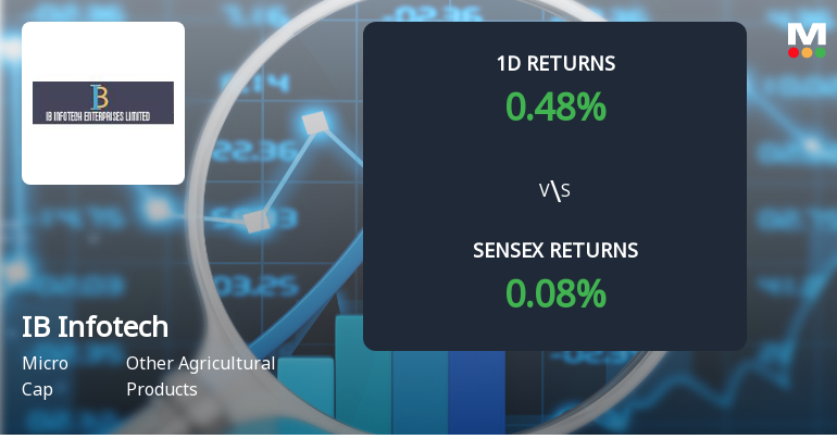 IB Infotech Enterprises Faces Intense Selling Pressure Amid Consecutive Losses