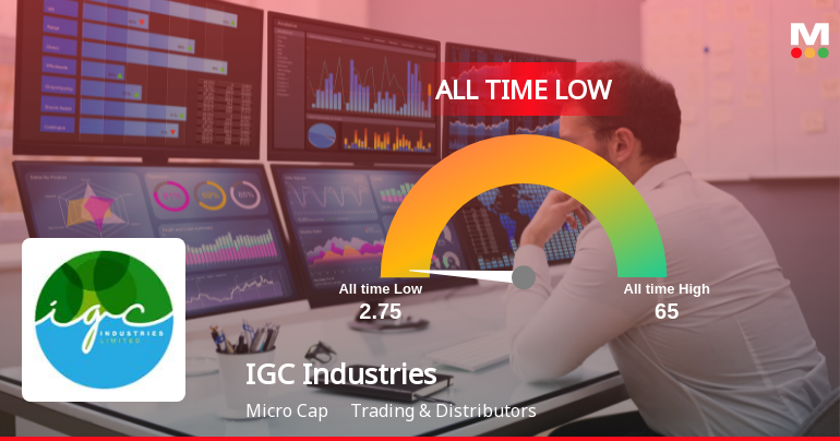 IGC Industries Stock Hits All-Time Low Amid Prolonged Downtrend